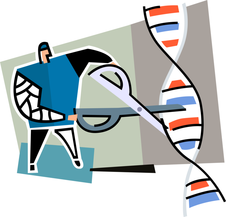 Engineering Clipart Genetic Engineering - Dna Cortar E Colar - Png Download (731x700), Png Download