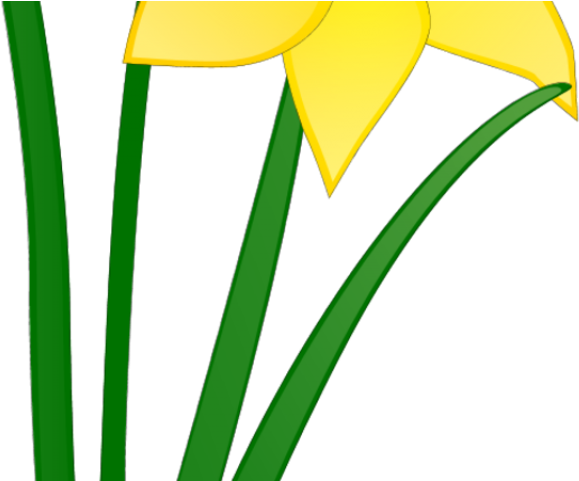 Daffodil Clipart Wind - Png Download (640x480), Png Download