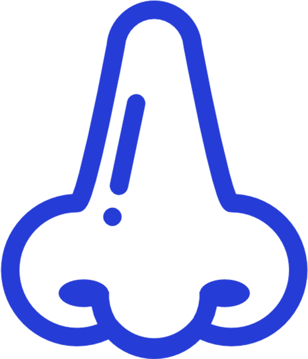 Allergies - Nose Clipart (700x700), Png Download