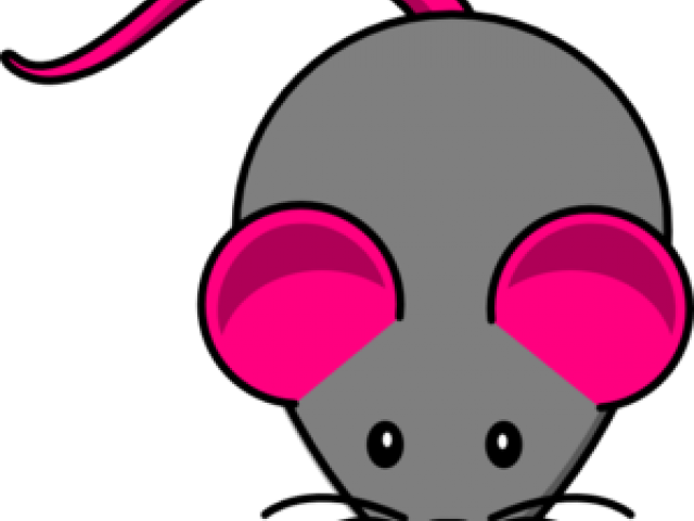 Mouse Pictures Free - Myš Kreslená Clipart (640x480), Png Download