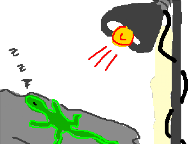 Lamp Clipart Heat Lamp - Png Download (640x480), Png Download