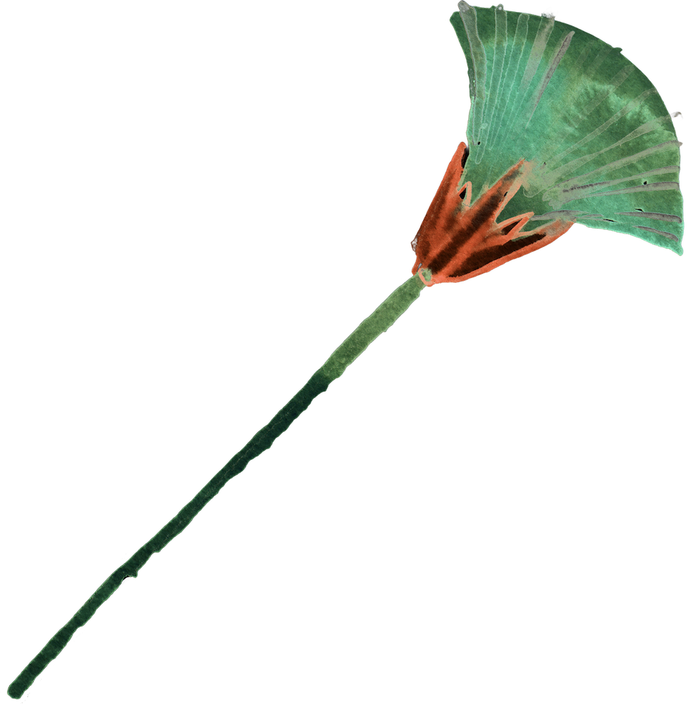 Amenofi Ii - Badminton Clipart (976x998), Png Download