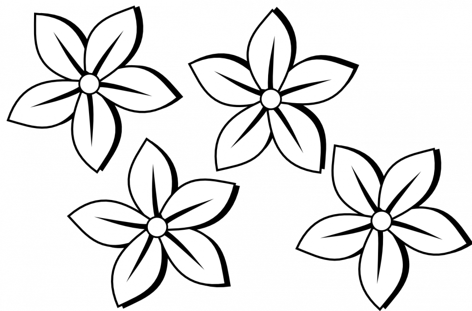 Drawing Of A Flower Stem Tags Drawing Of A Flower Lego - Flower Clipart Black And White - Png Download (970x639), Png Download