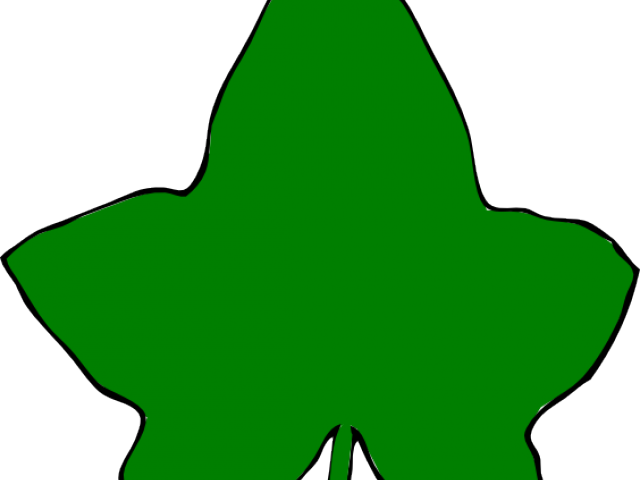 Ivy Clipart Large - Png Download (640x480), Png Download