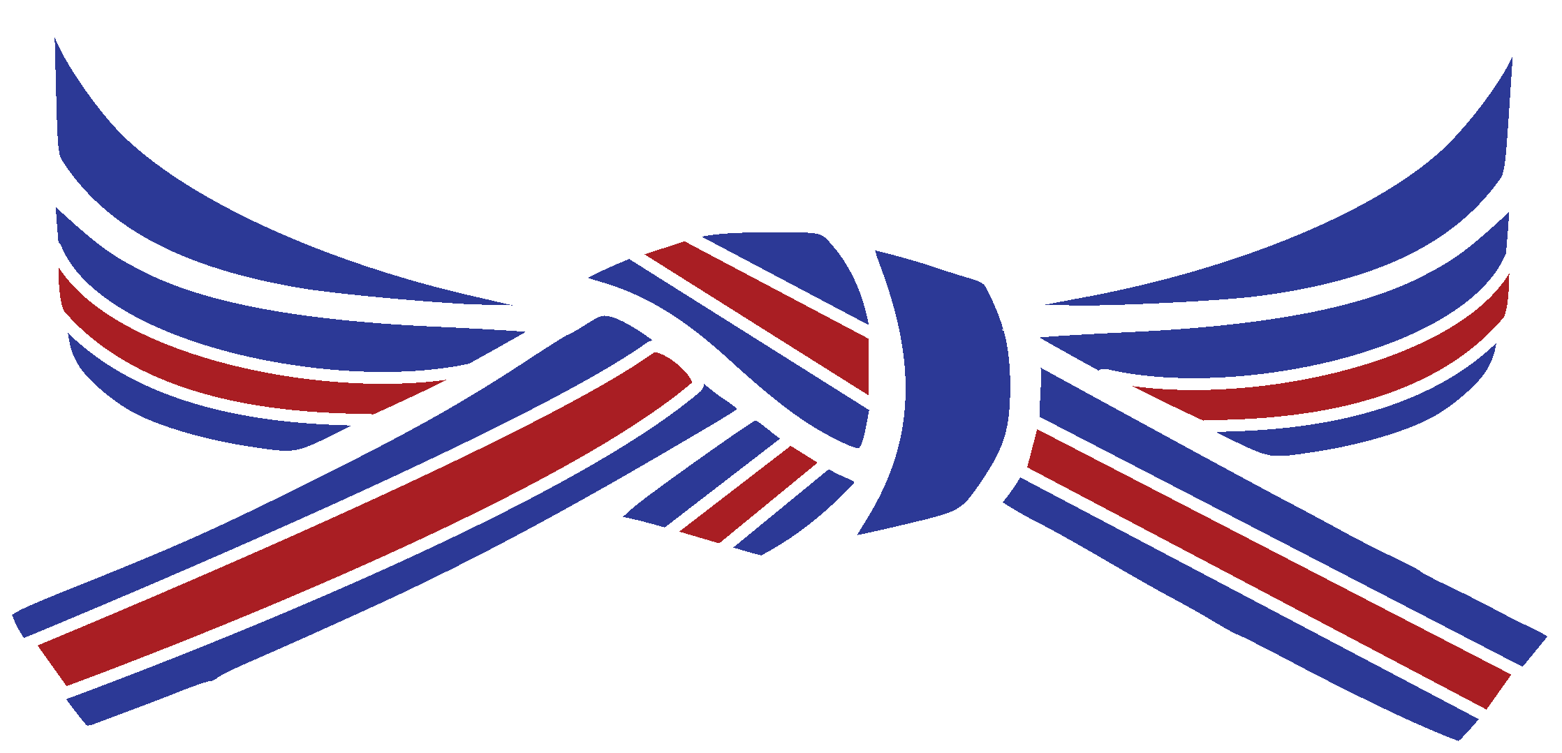 The Color Of Opposites - Taekwondo Clipart (2237x1079), Png Download