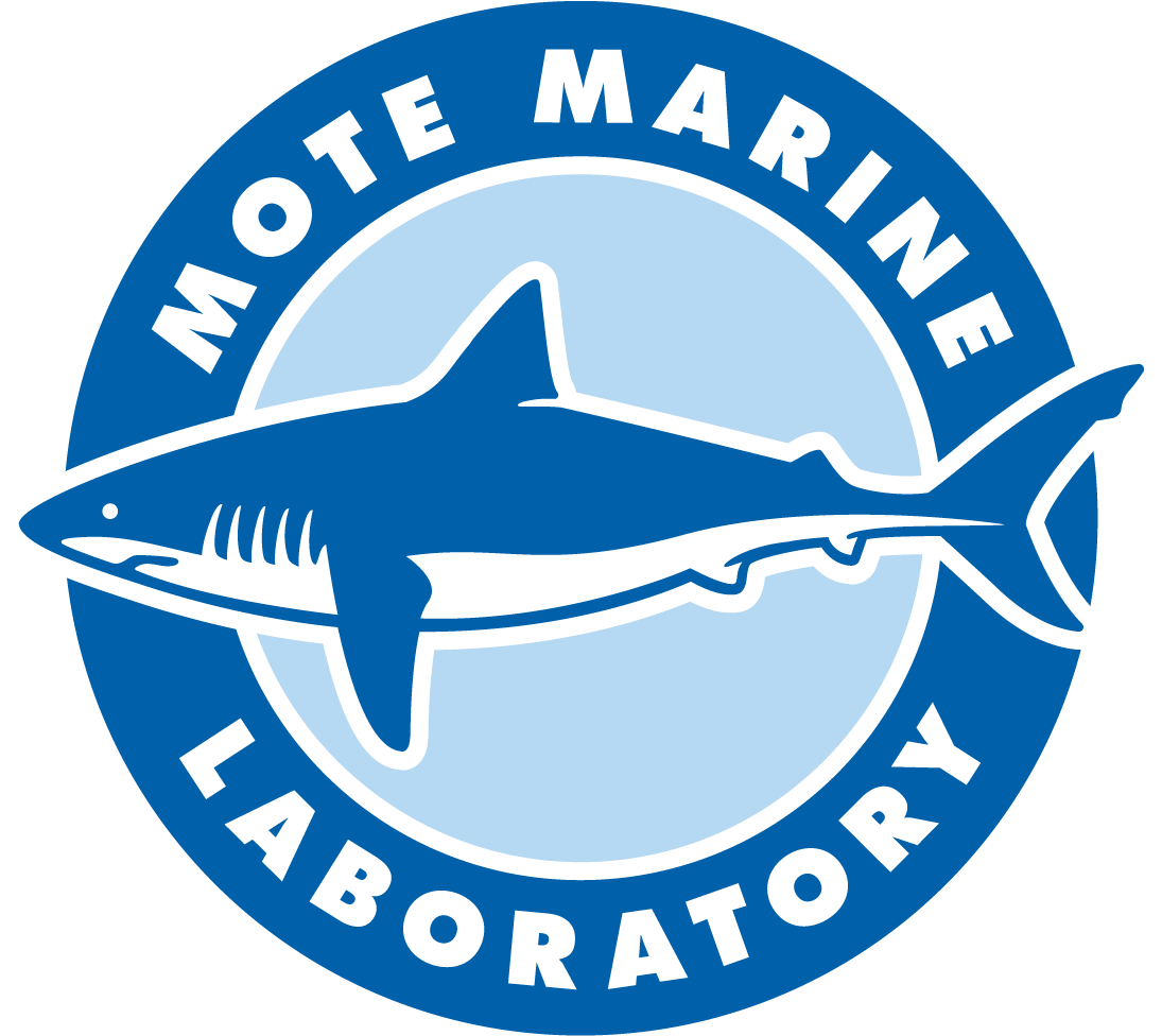 Mote Marine Laboratory Is Testing Ozone As A Way To - Mote Marine Laboratory Clipart (1000x967), Png Download
