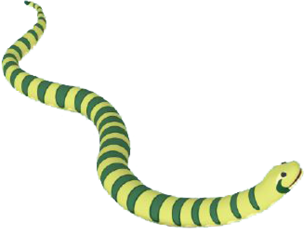 Anaconda Clipart Tail - Anaconda - Png Download (640x480), Png Download