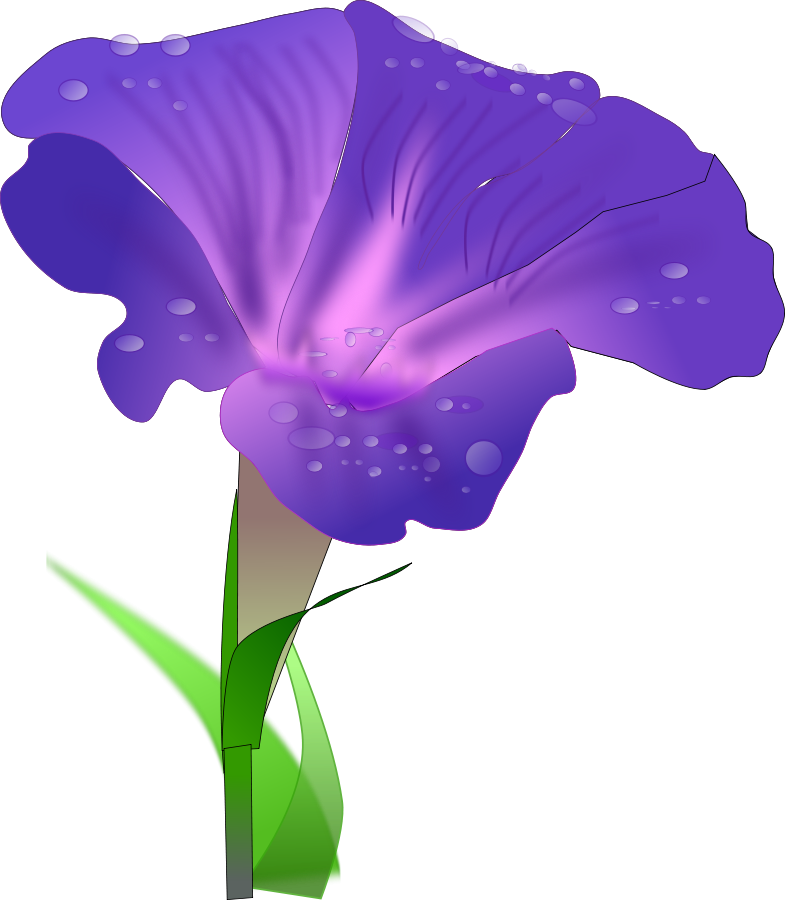 Digital Display With Good Morning Svg Vector File, - Morning Glory Flower Clipart - Png Download (785x900), Png Download