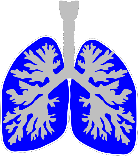 Clip Art - Png Download (1600x1600), Png Download