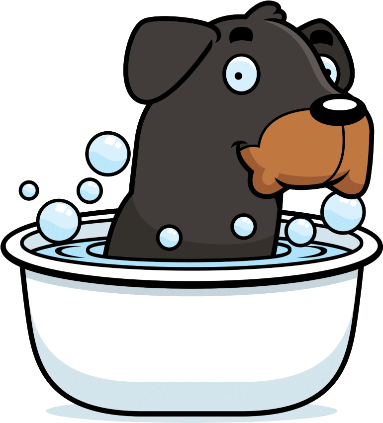 Do Rottweilers Swim - Rottweiler Pooping Clipart (900x900), Png Download