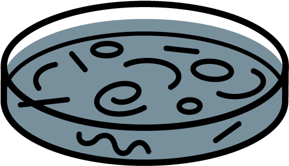 Circle Clipart (625x625), Png Download