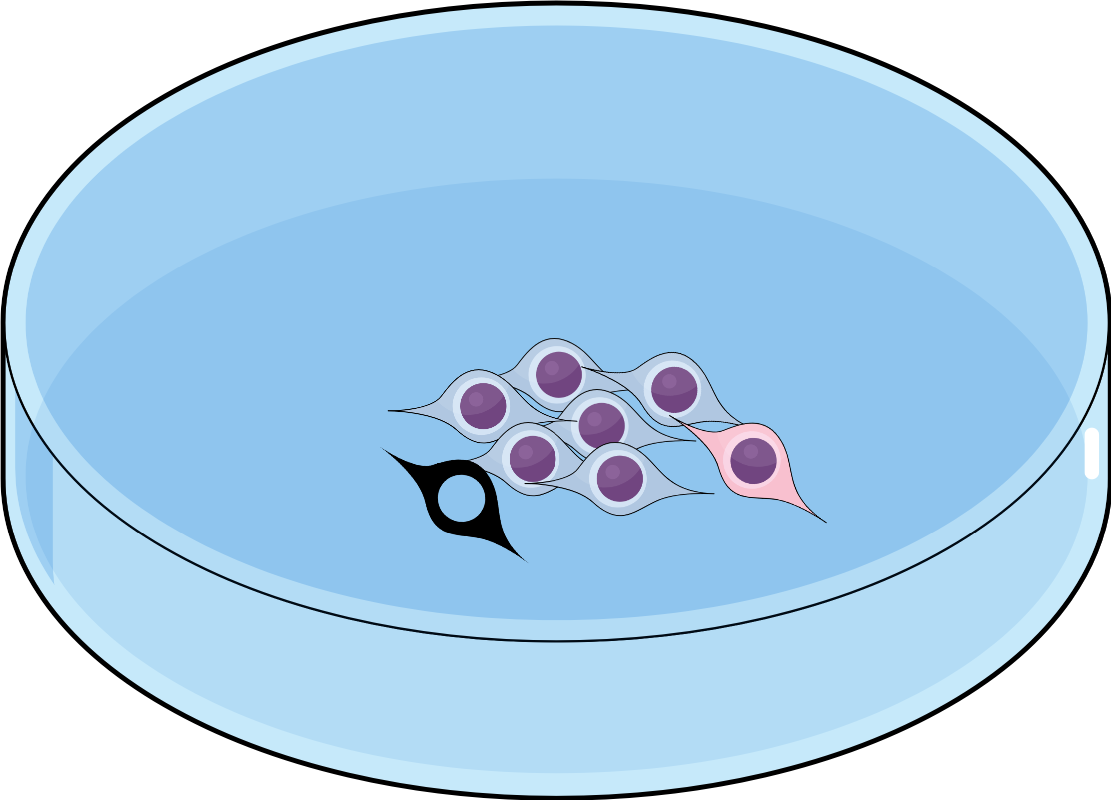 Slide - Circle Clipart (2640x1980), Png Download