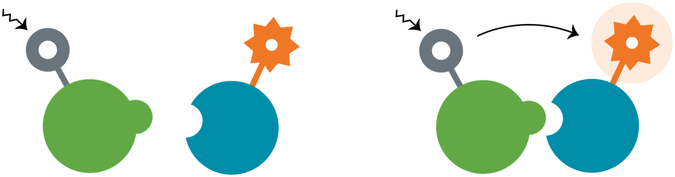 Htrf-camp Clipart (1351x355), Png Download