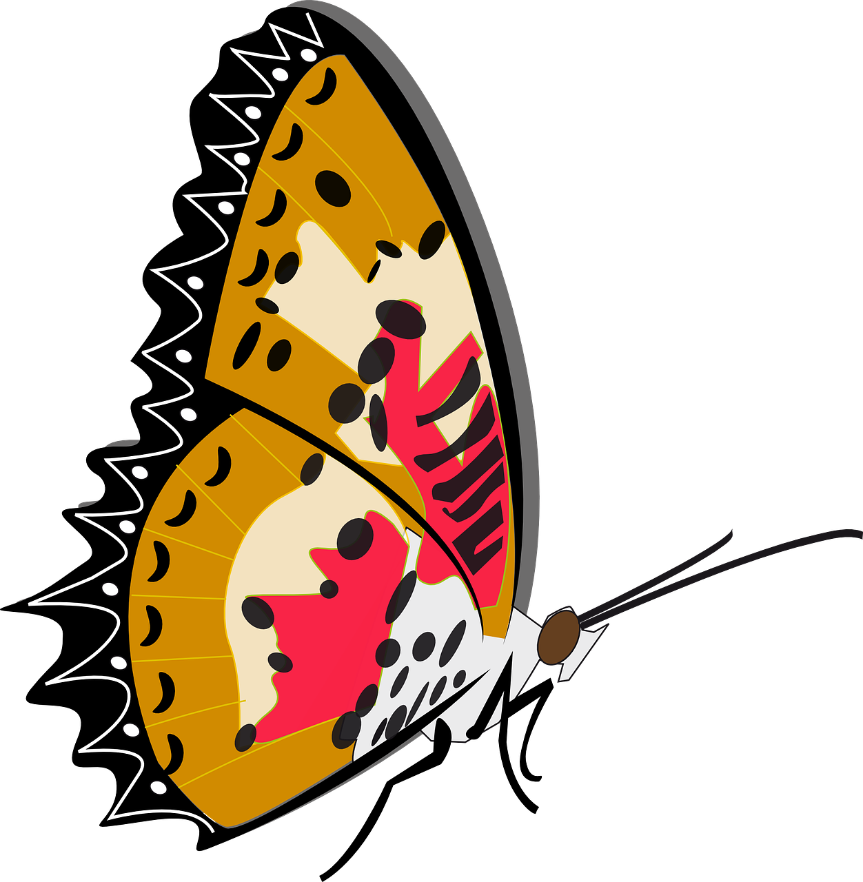 Mother And Baby Butterfly Insect Clipart (1252x1280), Png Download