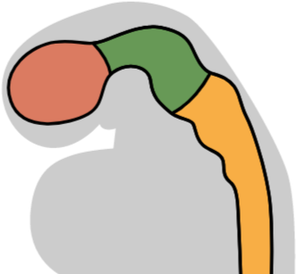 Slide Clipart (800x600), Png Download