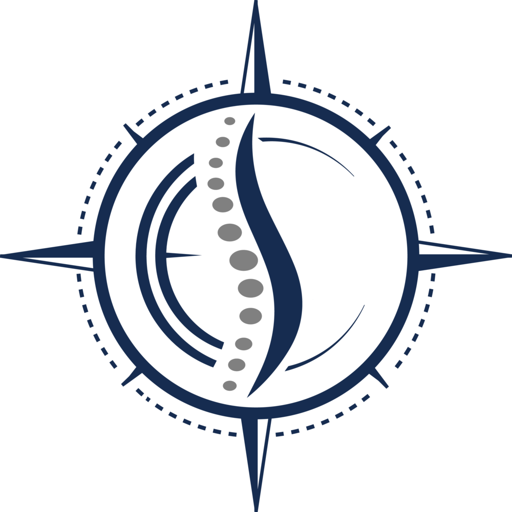 Spinal Cord Clipart - Png Download (1000x1000), Png Download