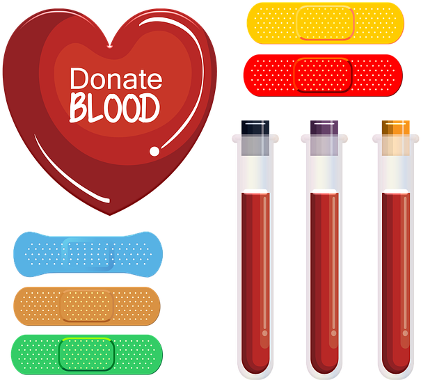 Blood Donation Clipart (640x554), Png Download