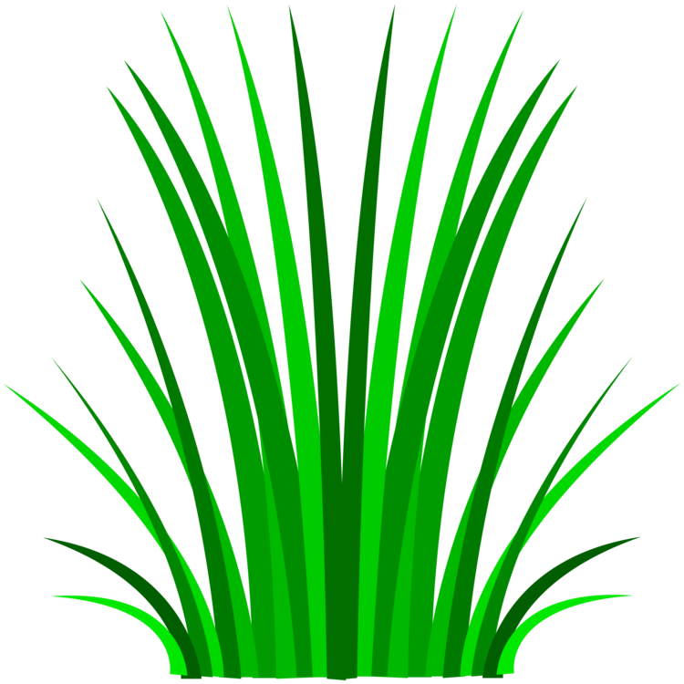 Plant,leaf,arecales Clipart (750x750), Png Download