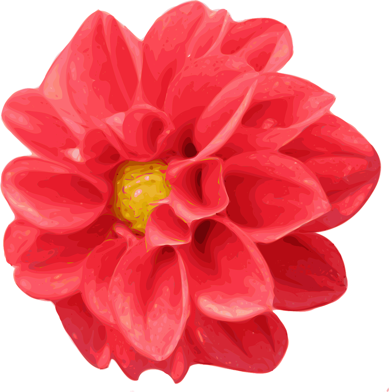 Realistic Flower Clip Art - Png Download (1269x1280), Png Download