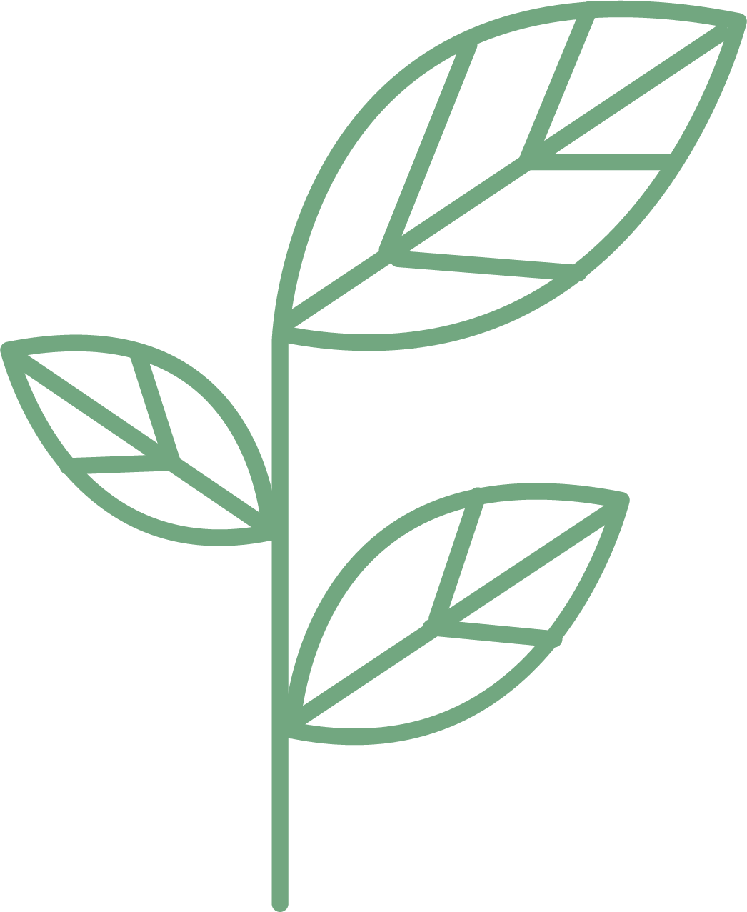 Clip Art - Png Download (1046x1277), Png Download