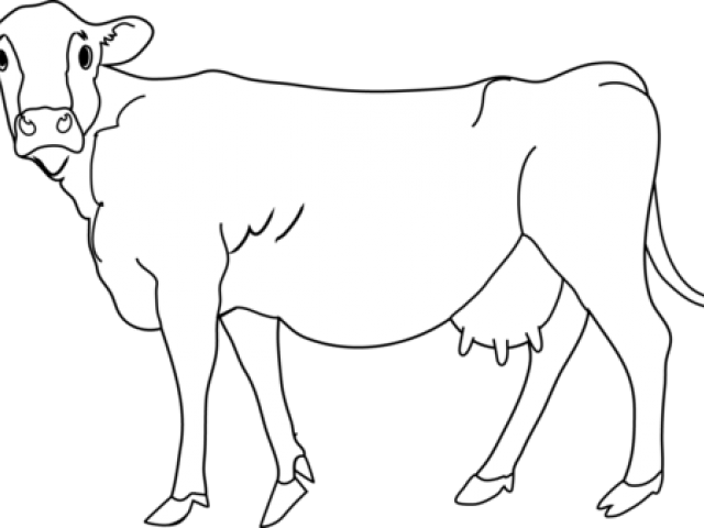 Cow Images Clipart - Dairy Cow - Png Download (640x480), Png Download