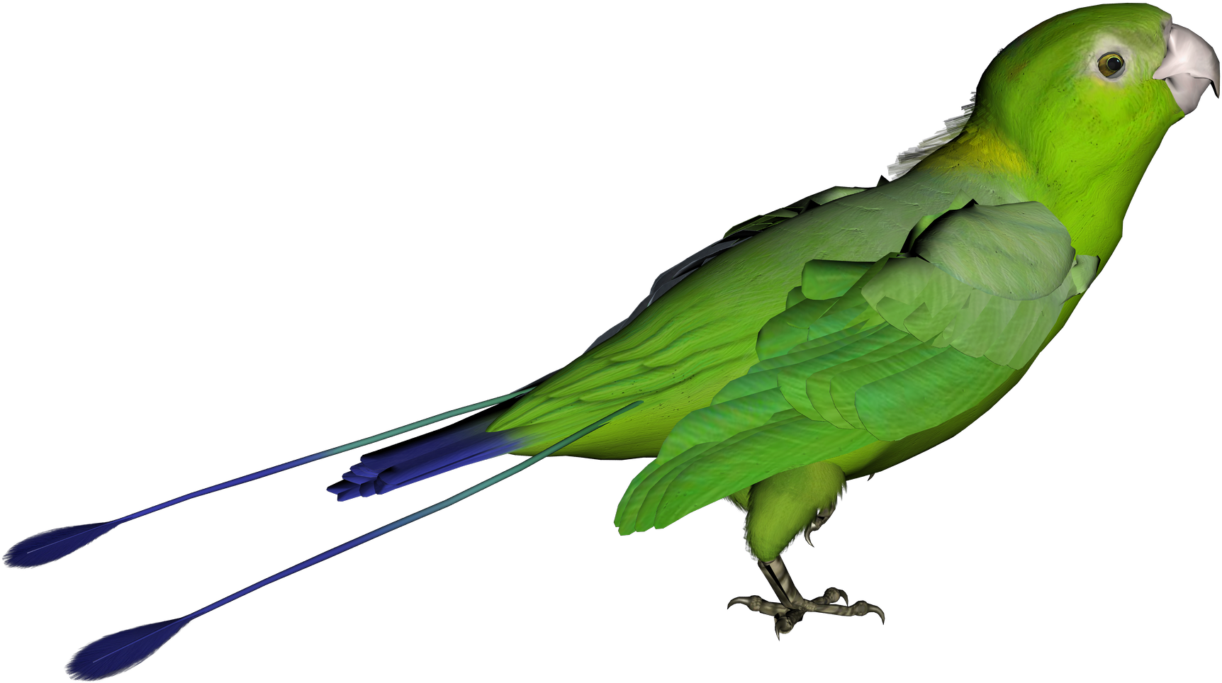 Parrot Clipart Desktop - Green Bird Transparent Background - Png Download (1835x1071), Png Download