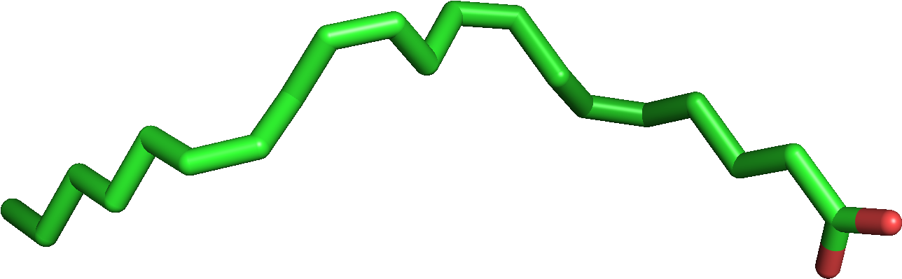 Clip Art - Png Download (1363x540), Png Download