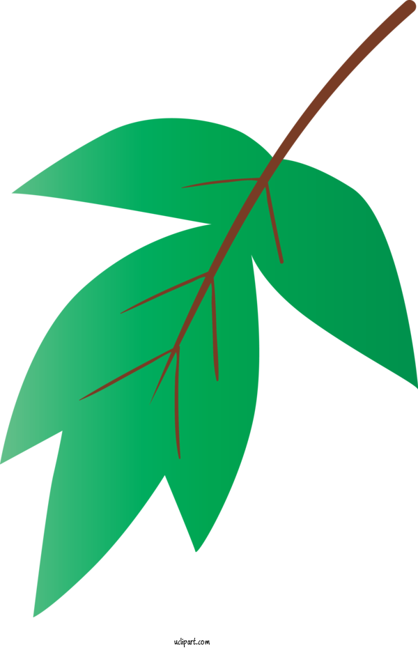 Transparent Nature Leaf Green Plant For Leaf For Nature Clipart (600x930), Png Download