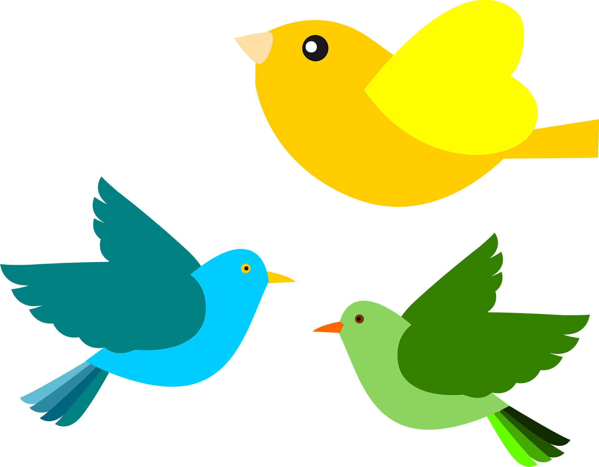 Passarinhos Birds Clipart - Flying Birds Clipart - Png Download (800x624), Png Download