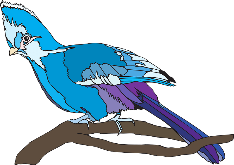 Blue Parrot Clipart - Clip Art - Png Download (800x564), Png Download