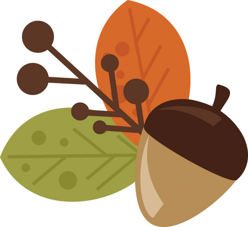 Camping Backgrounds - Leaves And Acorns Clipart - Png Download (800x730), Png Download