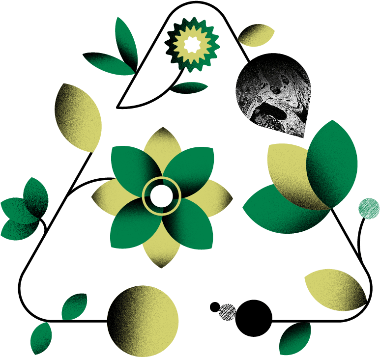 Graphic Design Clipart (800x800), Png Download