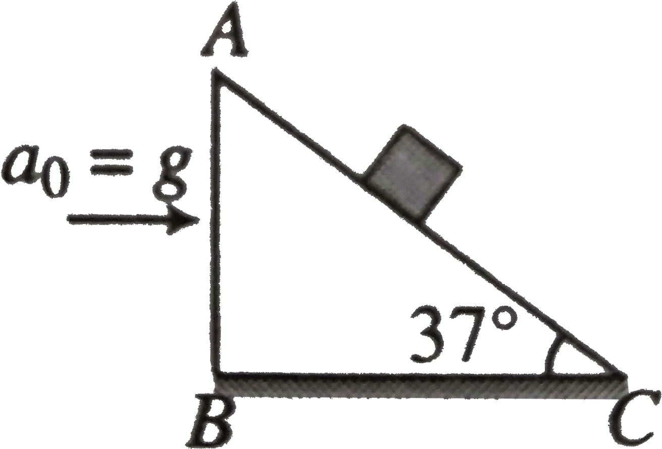 Clip Art - Png Download (1451x1000), Png Download