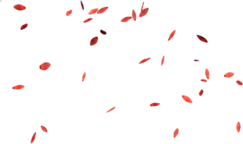 Pink Rose Flower Petals Png Free Download - Falling Rose Petals Png Clipart (860x553), Png Download