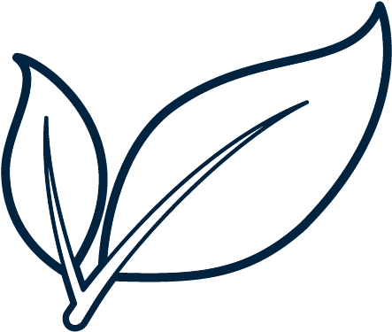 Clip Art - Png Download (1000x600), Png Download