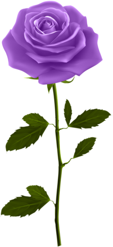 Purple Rose With Stem Clipart (400x854), Png Download