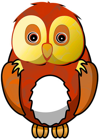 Cartoon Owl Clipart (960x480), Png Download