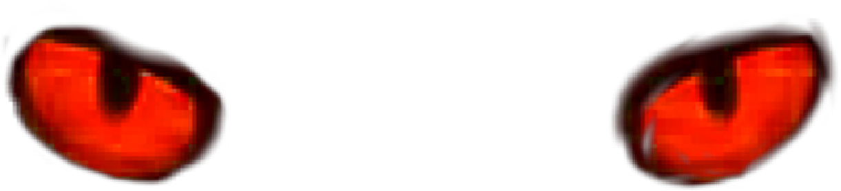 #owl #eyes - Heart Clipart (1773x1773), Png Download