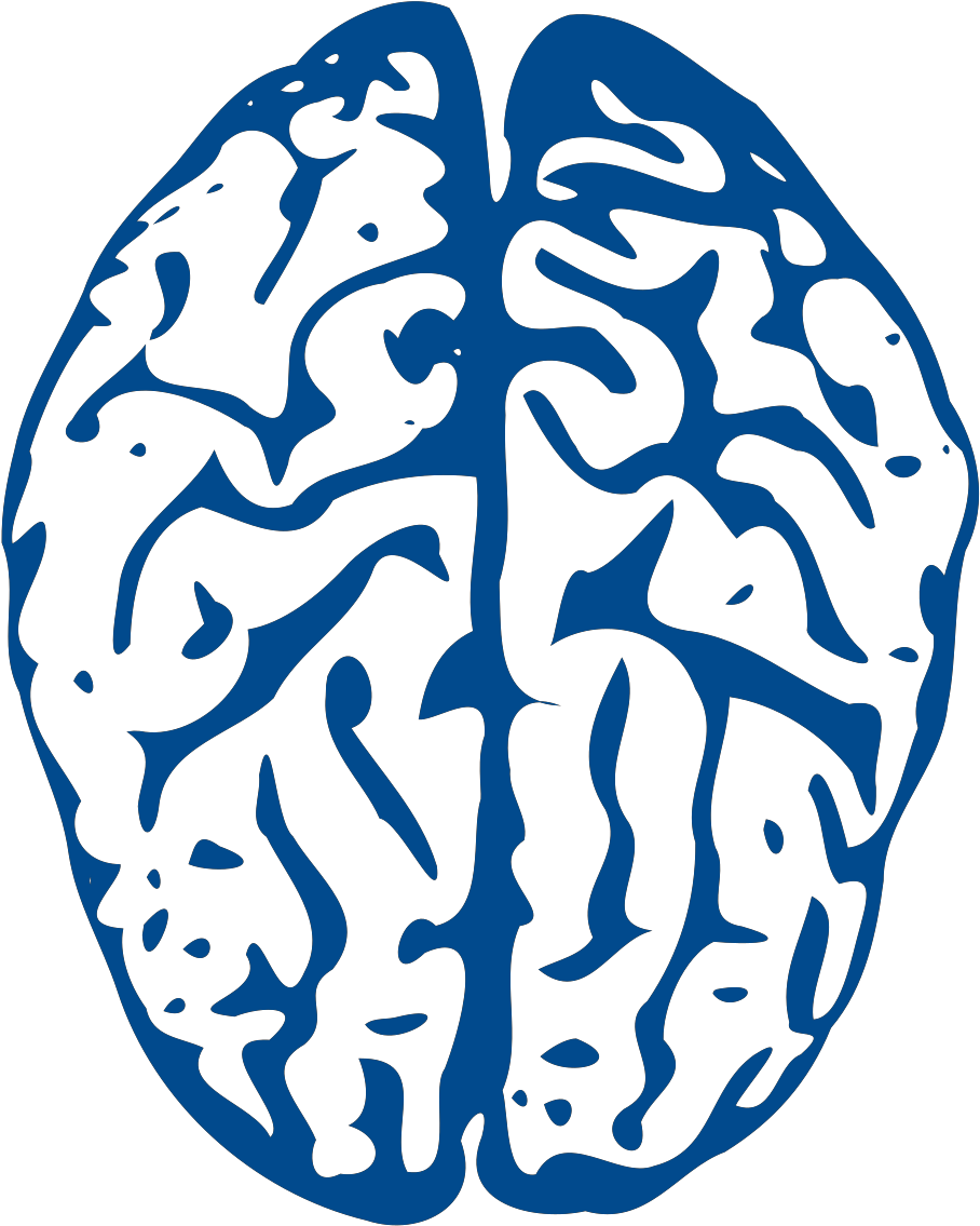 Transparent Background Brain Clipart - Png Download (1600x1600), Png Download