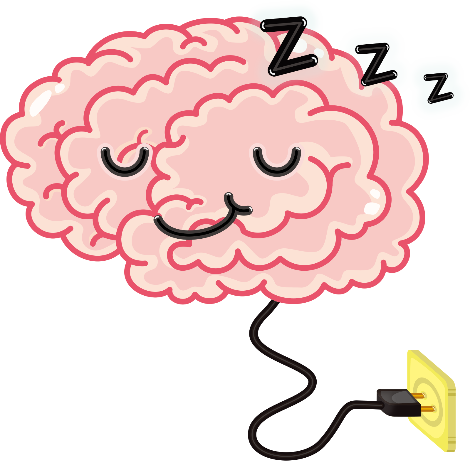 Sleeping brains