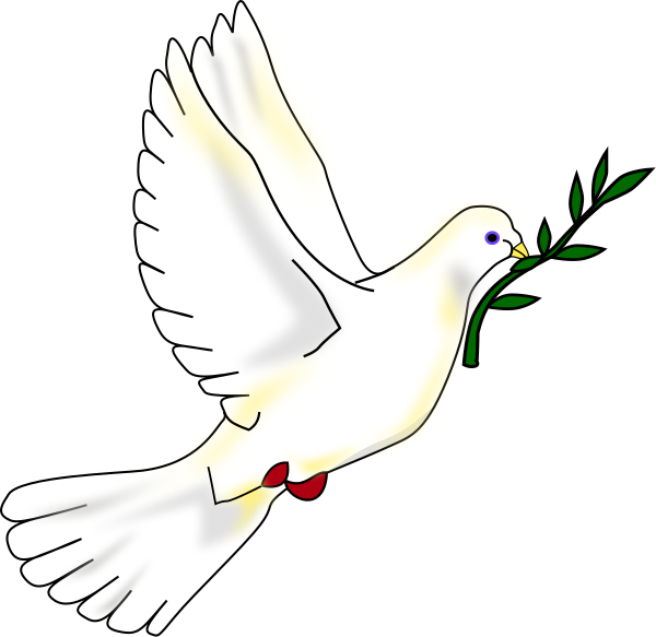 Dove Bird Peace Png Clipart (600x583), Png Download