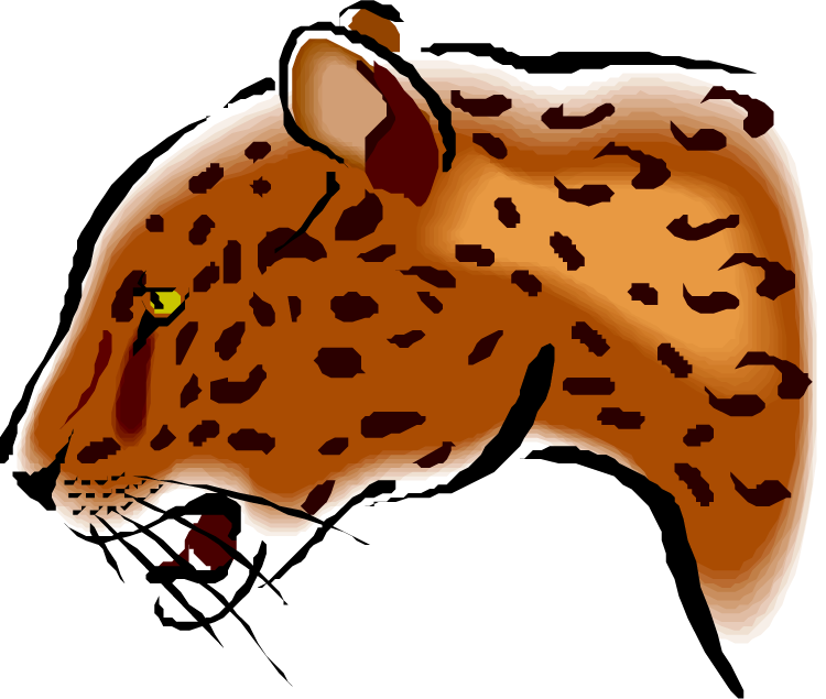 Jaguar Cartoon Side Face Clipart (750x635), Png Download