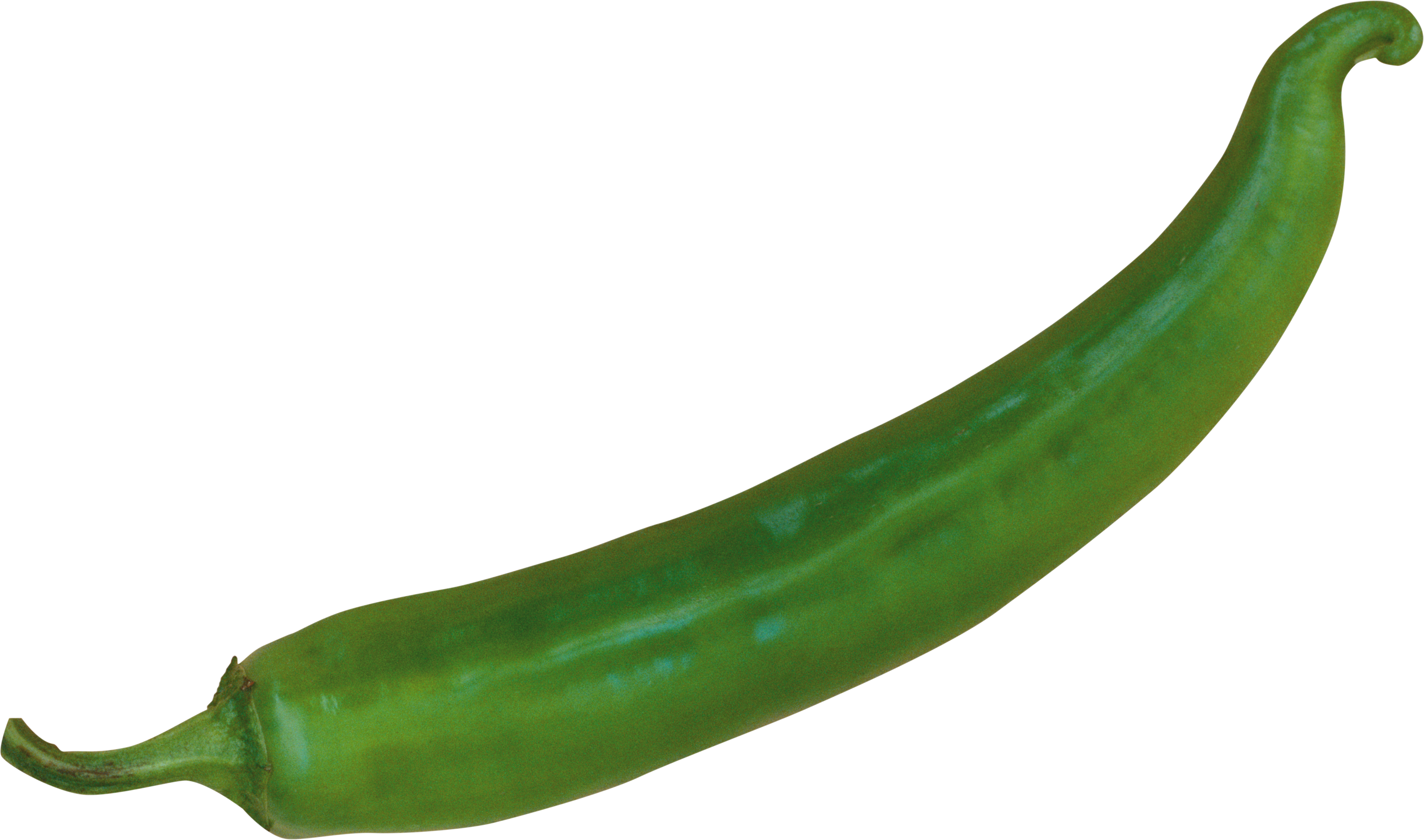Green Chilli Png - Green Chili Pepper Png Clipart (3537x2088), Png Download