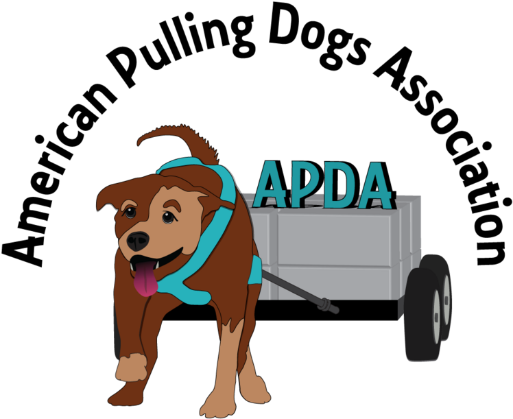 Companion Dog Clipart (784x709), Png Download