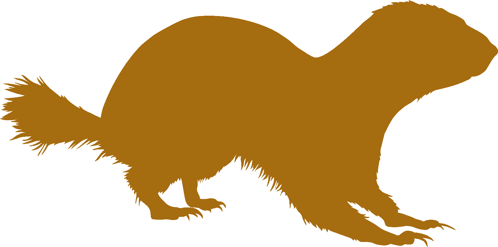 Gopher"s Music Gear - Groundhog Clipart (1590x796), Png Download