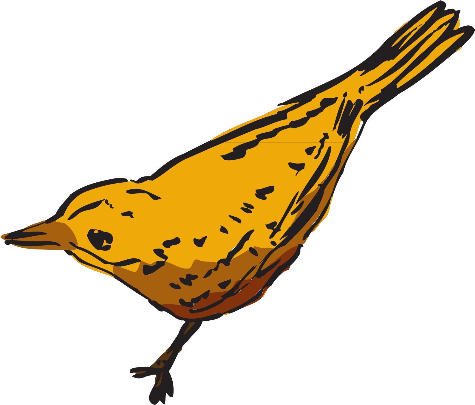 Dibujo Del Ave Dorada Clipart (1600x1600), Png Download