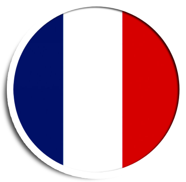 Logo France Dls 2019 Clipart (600x588), Png Download