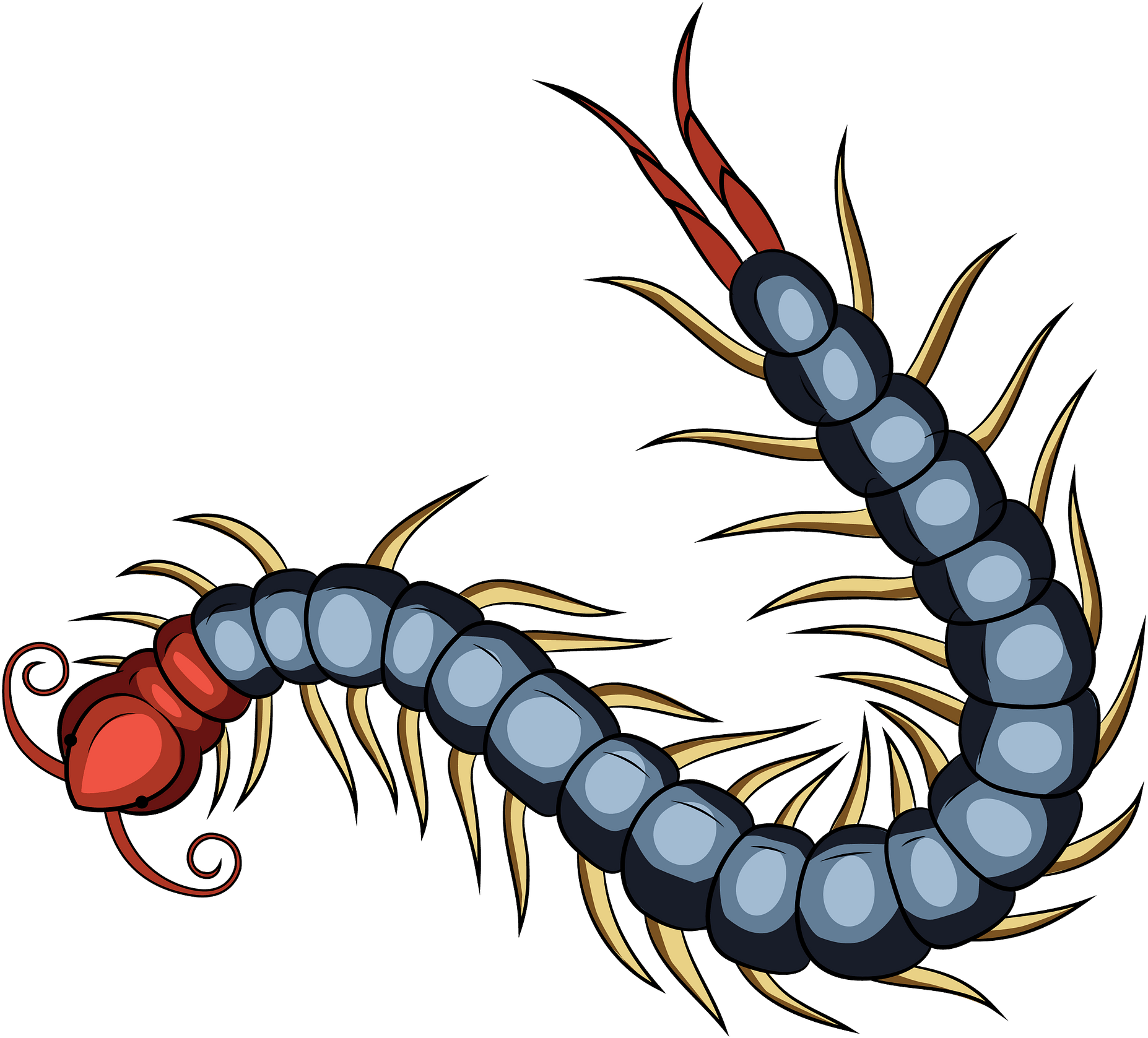 Red Chinese Centipede Clipart (1920x1754), Png Download
