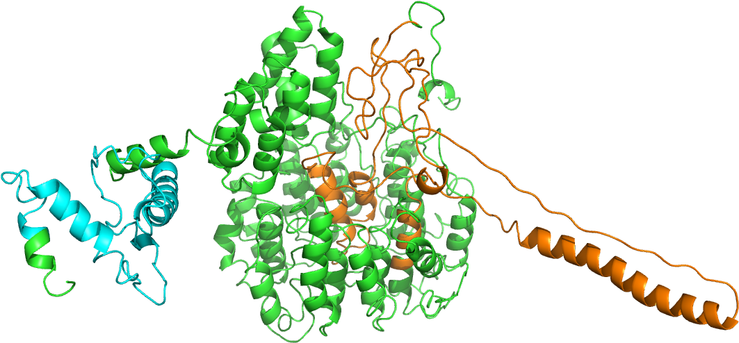 Illustration Clipart (1280x868), Png Download