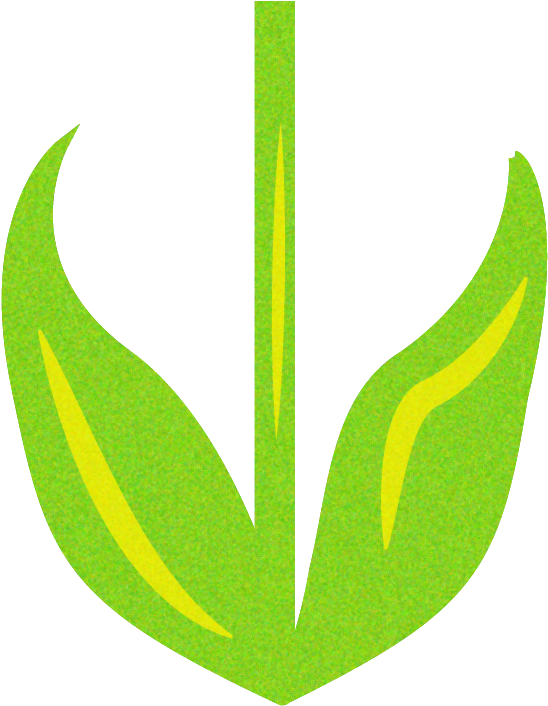 Xem Tất Cả Hình Ảnh Tại Thư Mục Clip Art- Flowers - Illustration - Png Download (636x822), Png Download